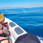 dolphin-watching-boat-tour-speedboat
