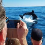 dolphin-watching-boat-tour-speedboat-From Lagos-6