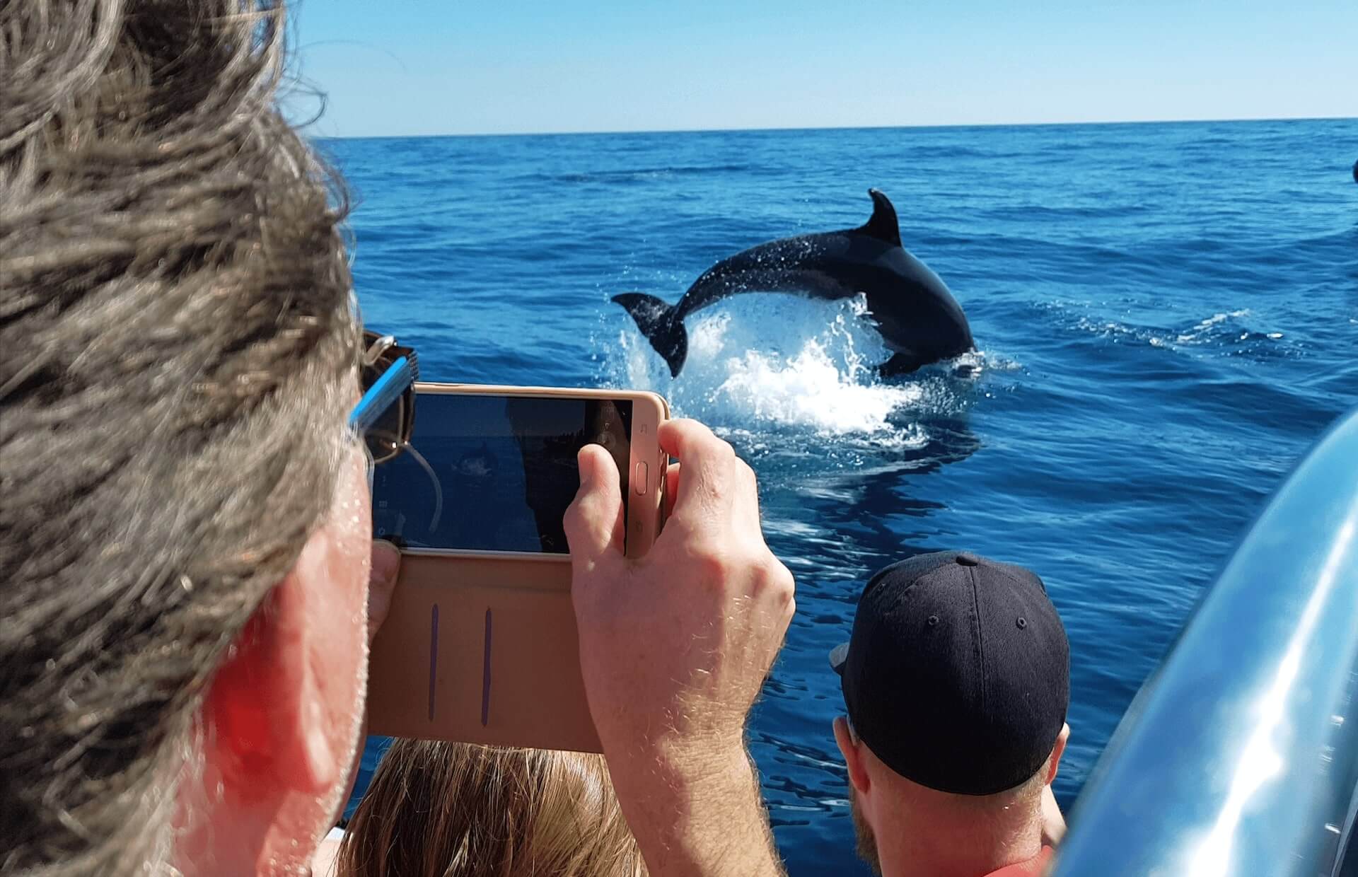 Dolphin whatchin from lagos whit our fast speedboat