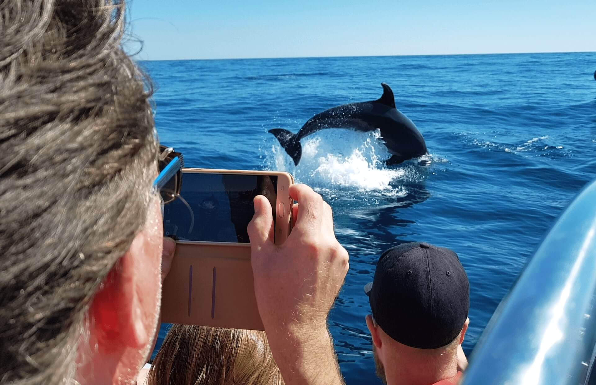 Dolphin whatchin from lagos whit our fast speedboat