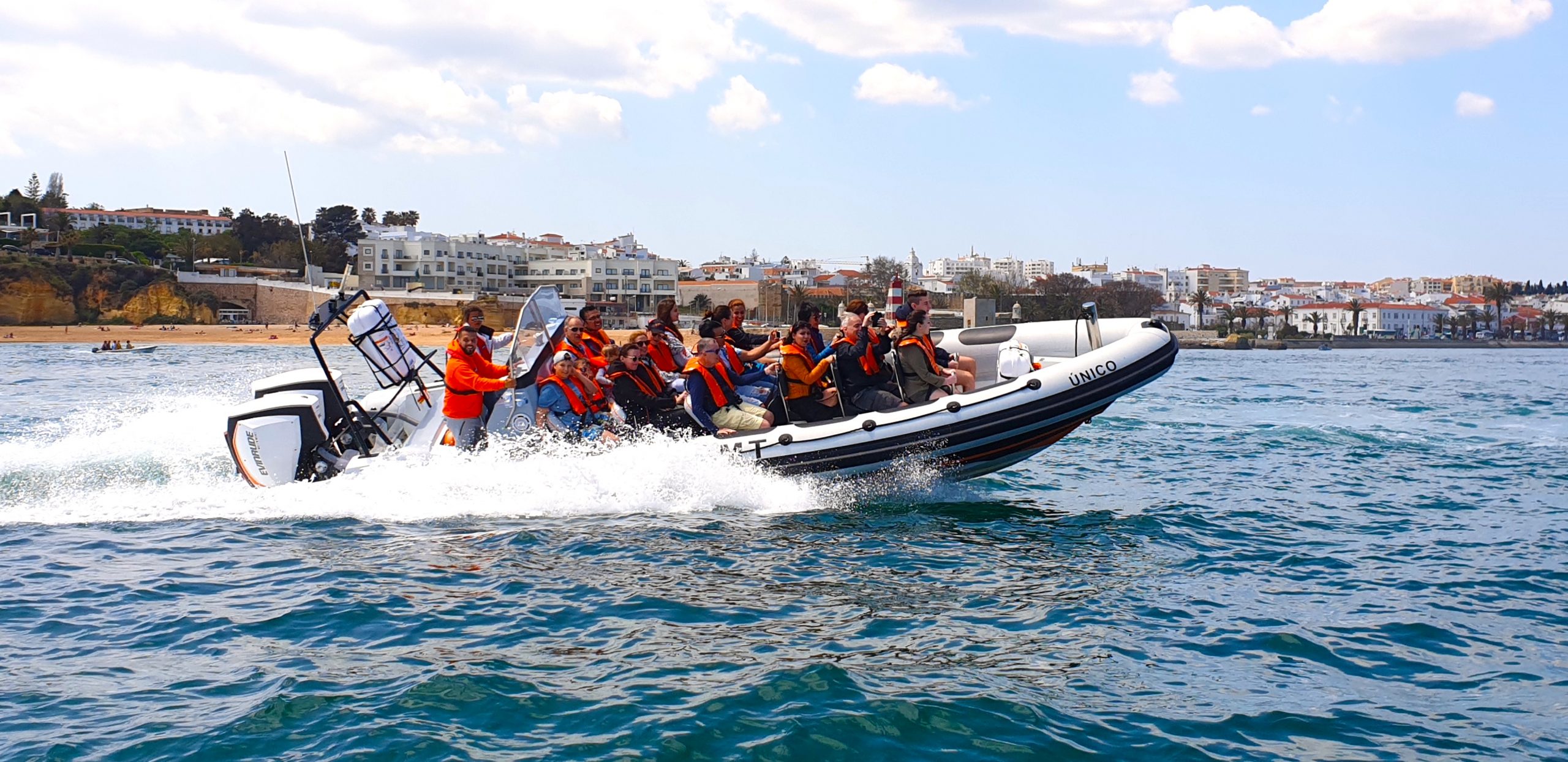 Dolphin whatchin from lagos whit our fast speedboat